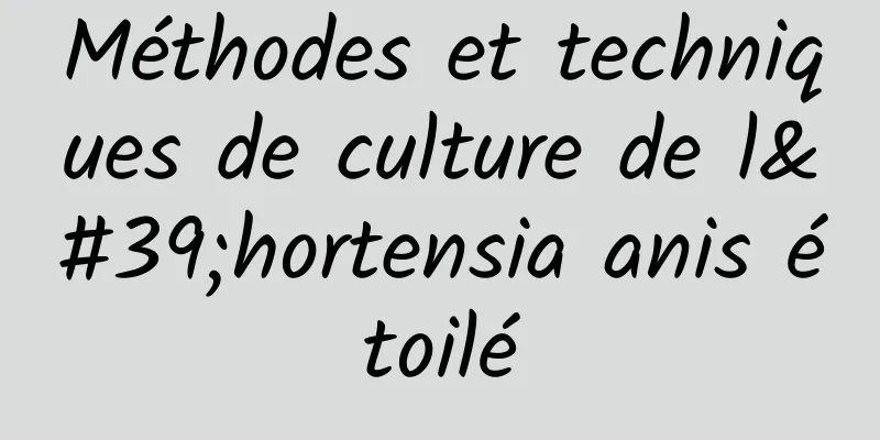 Méthodes et techniques de culture de l'hortensia anis étoilé