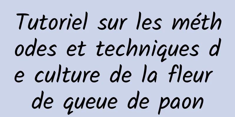 Tutoriel sur les méthodes et techniques de culture de la fleur de queue de paon