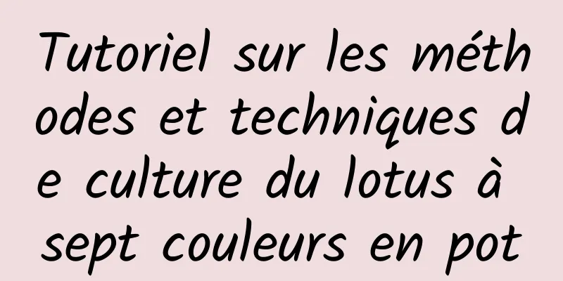 Tutoriel sur les méthodes et techniques de culture du lotus à sept couleurs en pot