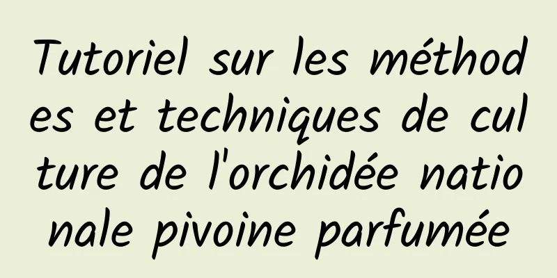 Tutoriel sur les méthodes et techniques de culture de l'orchidée nationale pivoine parfumée