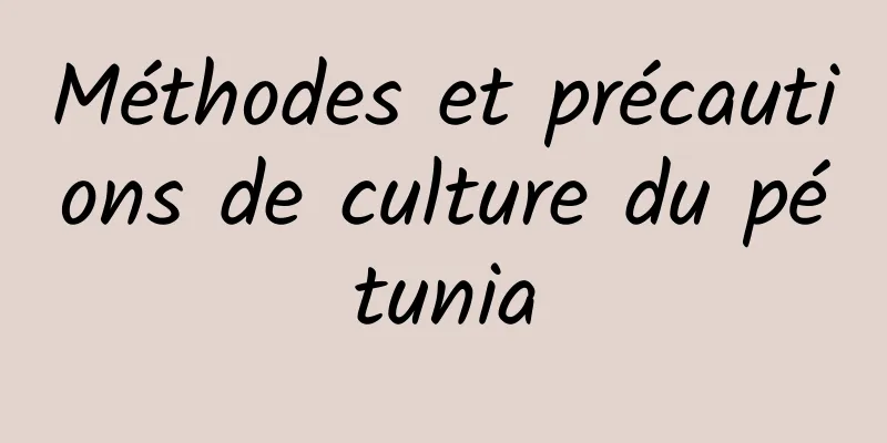 Méthodes et précautions de culture du pétunia