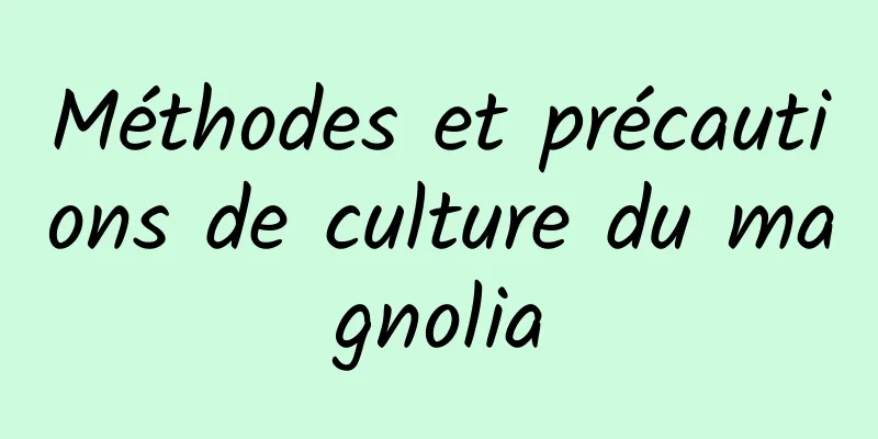 Méthodes et précautions de culture du magnolia