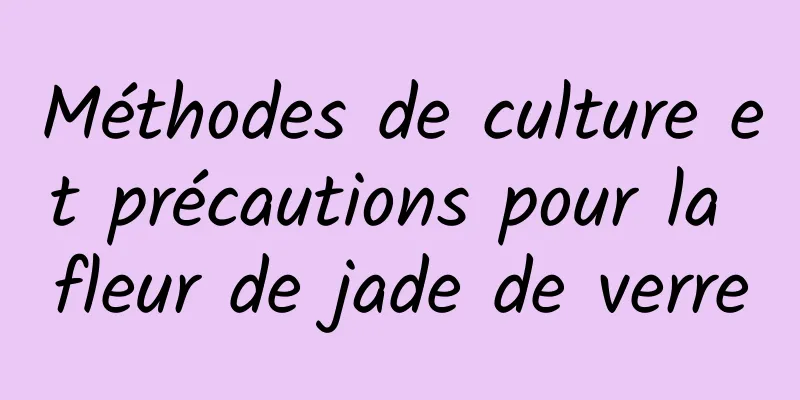 Méthodes de culture et précautions pour la fleur de jade de verre