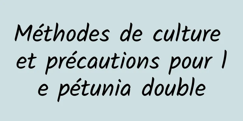 Méthodes de culture et précautions pour le pétunia double