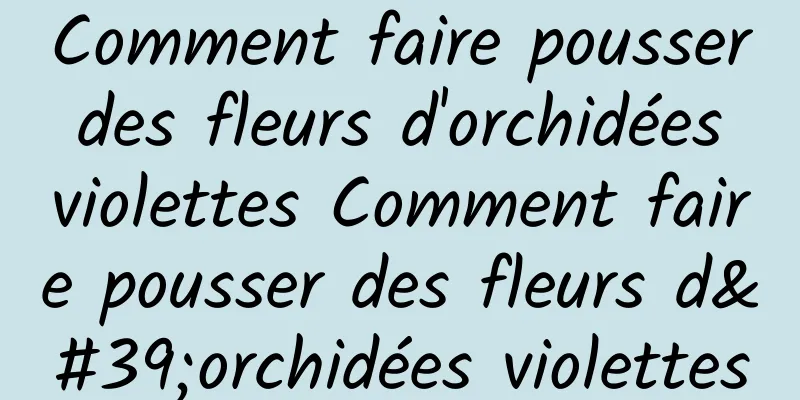 Comment faire pousser des fleurs d'orchidées violettes Comment faire pousser des fleurs d'orchidées violettes