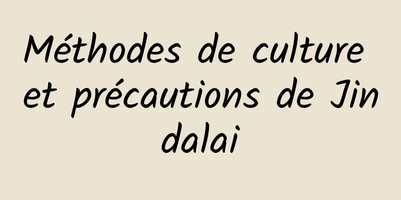 Méthodes de culture et précautions de Jindalai