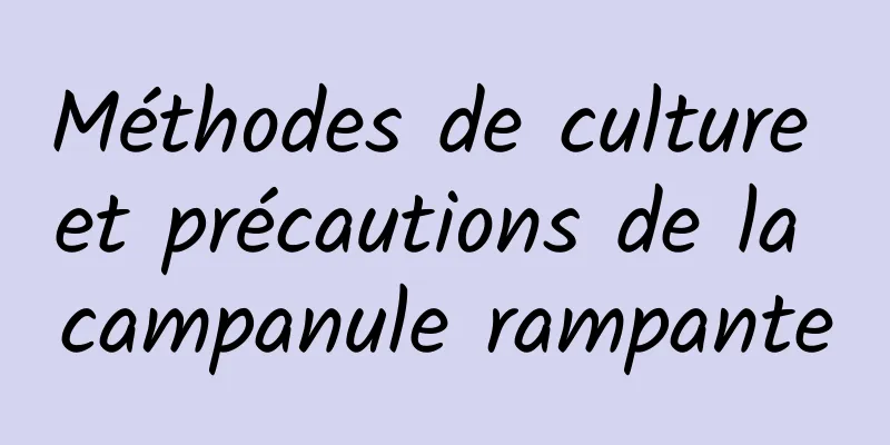 Méthodes de culture et précautions de la campanule rampante