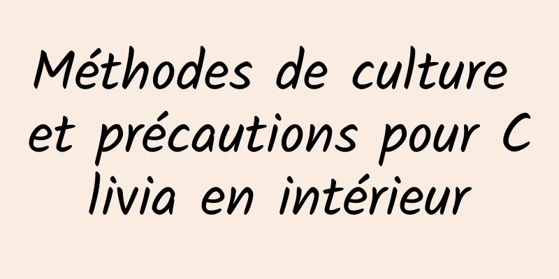 Méthodes de culture et précautions pour Clivia en intérieur