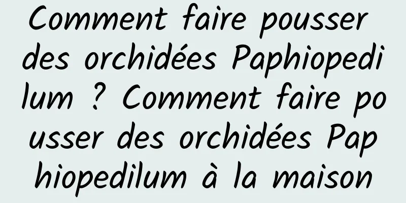 Comment faire pousser des orchidées Paphiopedilum ? Comment faire pousser des orchidées Paphiopedilum à la maison