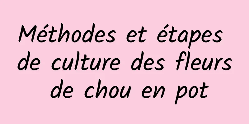 Méthodes et étapes de culture des fleurs de chou en pot