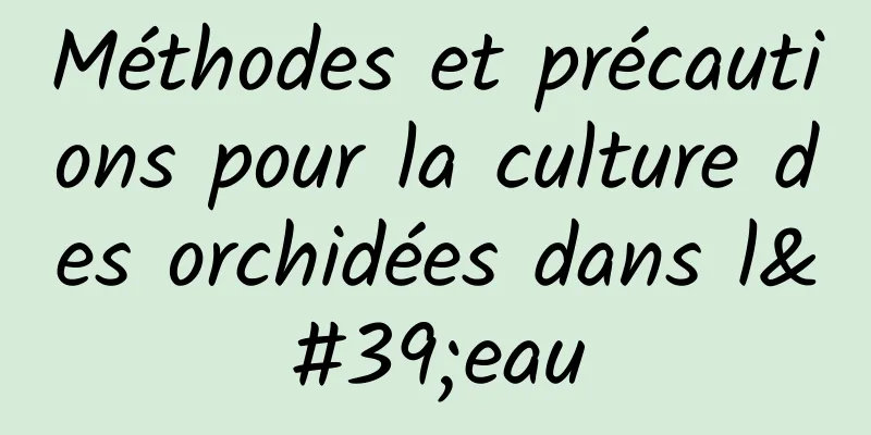 Méthodes et précautions pour la culture des orchidées dans l'eau