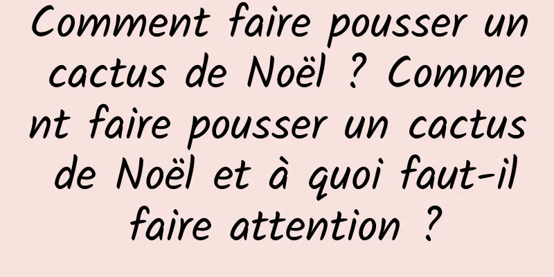 Comment faire pousser un cactus de Noël ? Comment faire pousser un cactus de Noël et à quoi faut-il faire attention ?