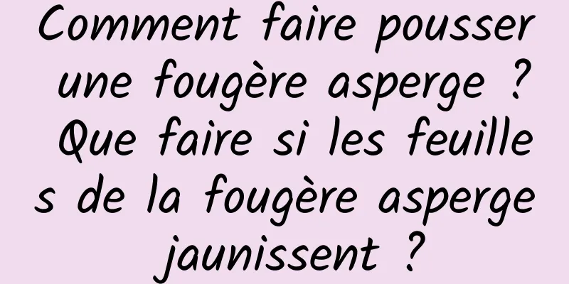 Comment faire pousser une fougère asperge ? Que faire si les feuilles de la fougère asperge jaunissent ?