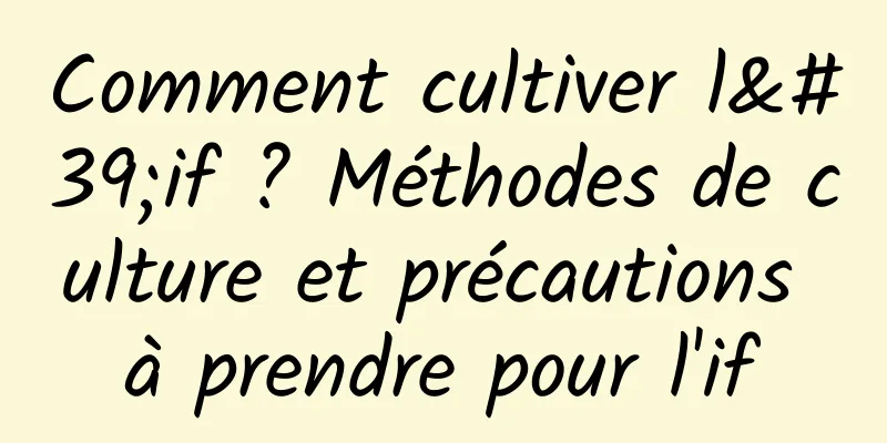 Comment cultiver l'if ? Méthodes de culture et précautions à prendre pour l'if