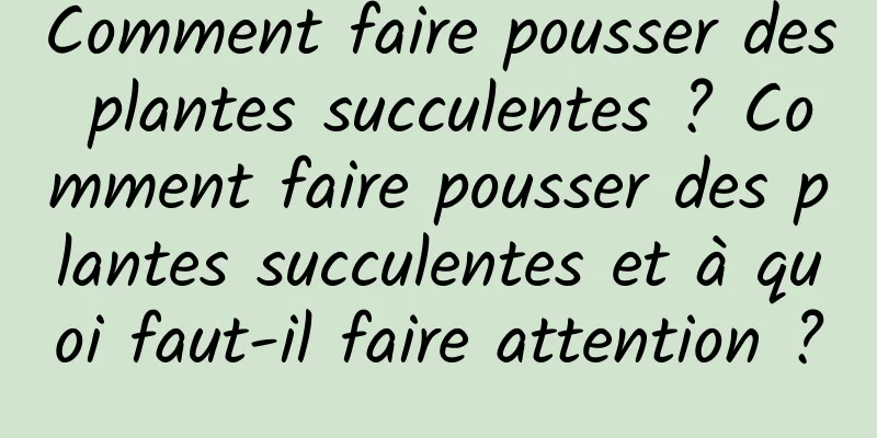 Comment faire pousser des plantes succulentes ? Comment faire pousser des plantes succulentes et à quoi faut-il faire attention ?