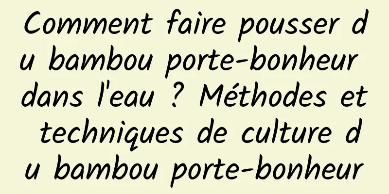 Comment faire pousser du bambou porte-bonheur dans l'eau ? Méthodes et techniques de culture du bambou porte-bonheur