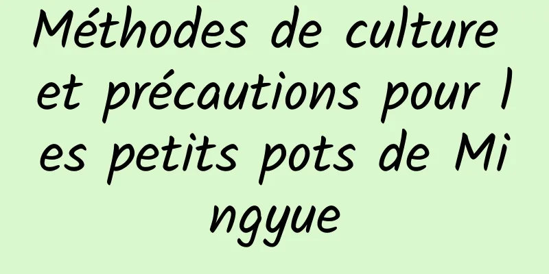 Méthodes de culture et précautions pour les petits pots de Mingyue