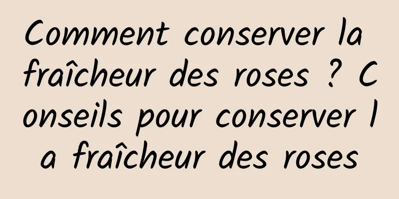 Comment conserver la fraîcheur des roses ? Conseils pour conserver la fraîcheur des roses