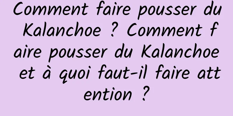 Comment faire pousser du Kalanchoe ? Comment faire pousser du Kalanchoe et à quoi faut-il faire attention ?