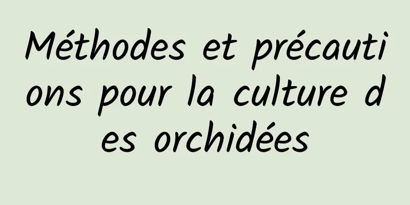 Méthodes et précautions pour la culture des orchidées