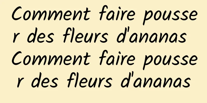 Comment faire pousser des fleurs d'ananas Comment faire pousser des fleurs d'ananas