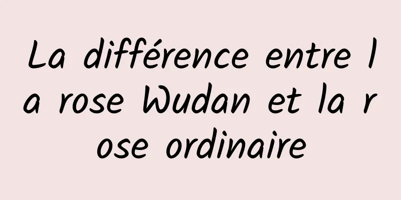 La différence entre la rose Wudan et la rose ordinaire