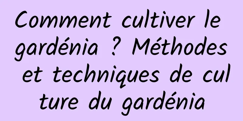 Comment cultiver le gardénia ? Méthodes et techniques de culture du gardénia