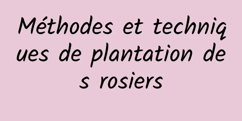 Méthodes et techniques de plantation des rosiers