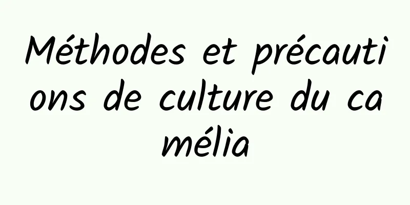 Méthodes et précautions de culture du camélia