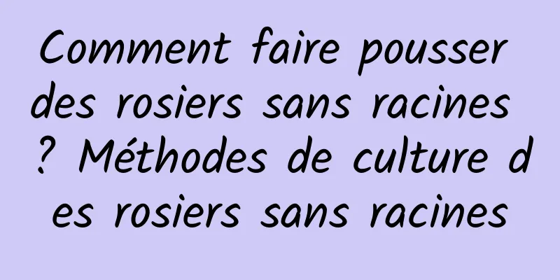 Comment faire pousser des rosiers sans racines ? Méthodes de culture des rosiers sans racines