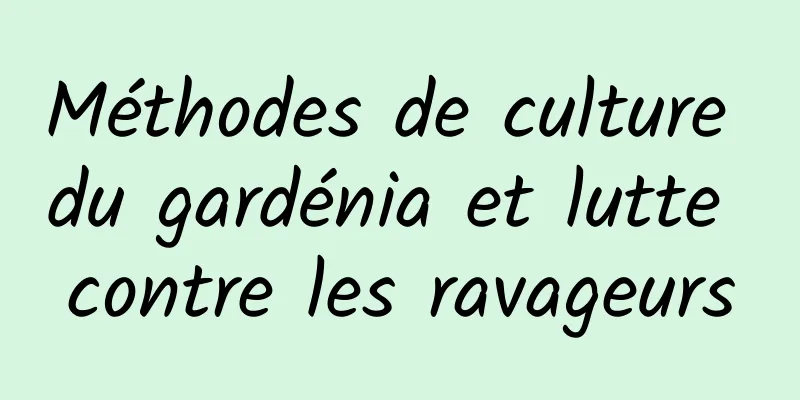 Méthodes de culture du gardénia et lutte contre les ravageurs