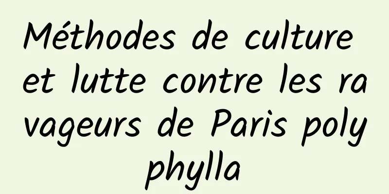 Méthodes de culture et lutte contre les ravageurs de Paris polyphylla