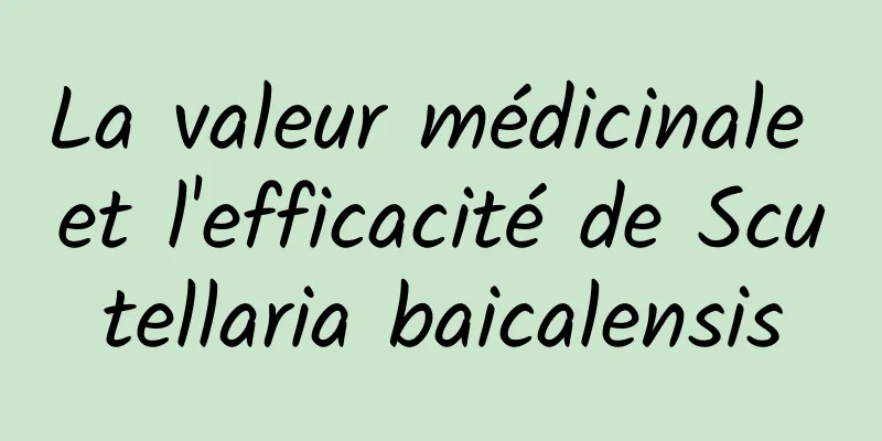 La valeur médicinale et l'efficacité de Scutellaria baicalensis