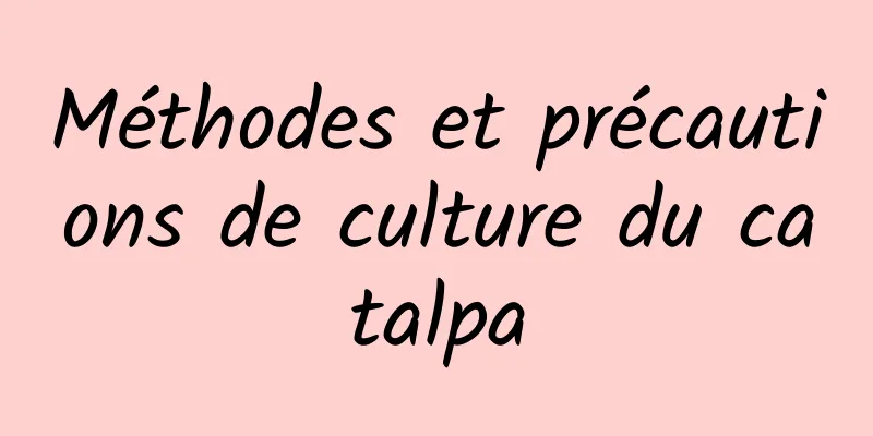 Méthodes et précautions de culture du catalpa