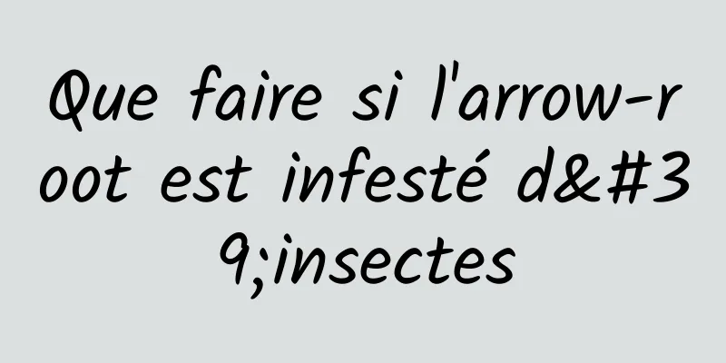 Que faire si l'arrow-root est infesté d'insectes