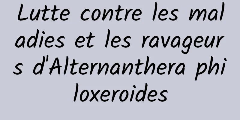 Lutte contre les maladies et les ravageurs d'Alternanthera philoxeroides