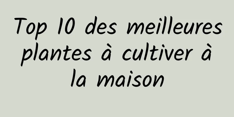 Top 10 des meilleures plantes à cultiver à la maison