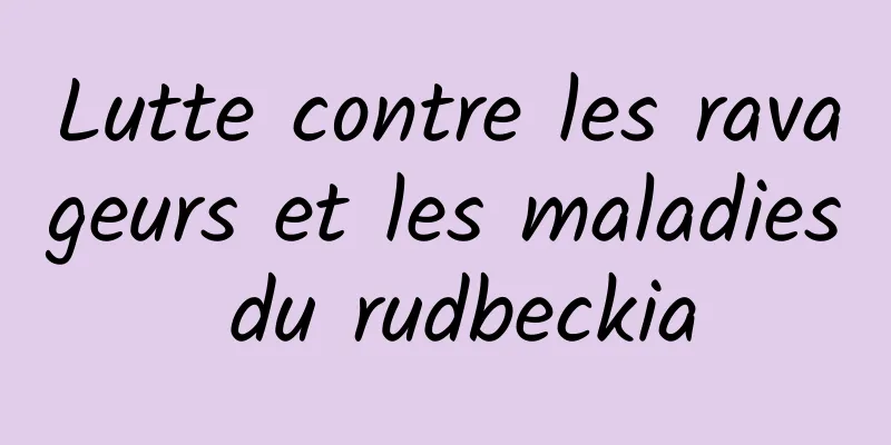 Lutte contre les ravageurs et les maladies du rudbeckia