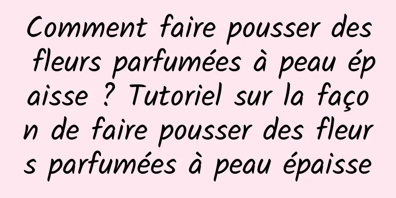 Comment faire pousser des fleurs parfumées à peau épaisse ? Tutoriel sur la façon de faire pousser des fleurs parfumées à peau épaisse