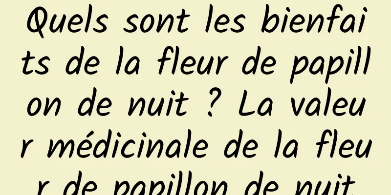 Quels sont les bienfaits de la fleur de papillon de nuit ? La valeur médicinale de la fleur de papillon de nuit