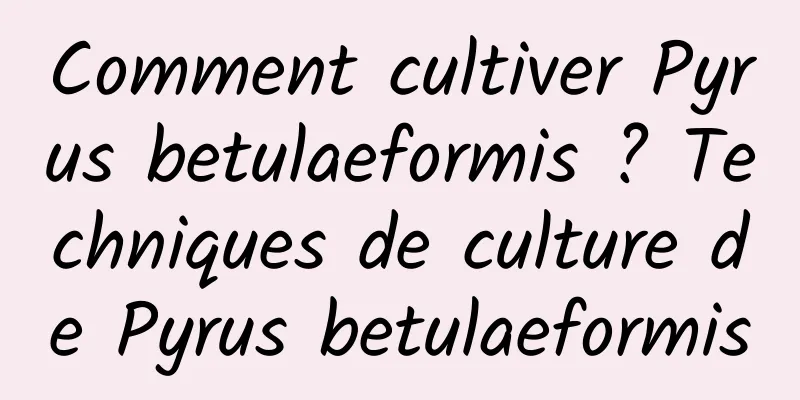 Comment cultiver Pyrus betulaeformis ? Techniques de culture de Pyrus betulaeformis