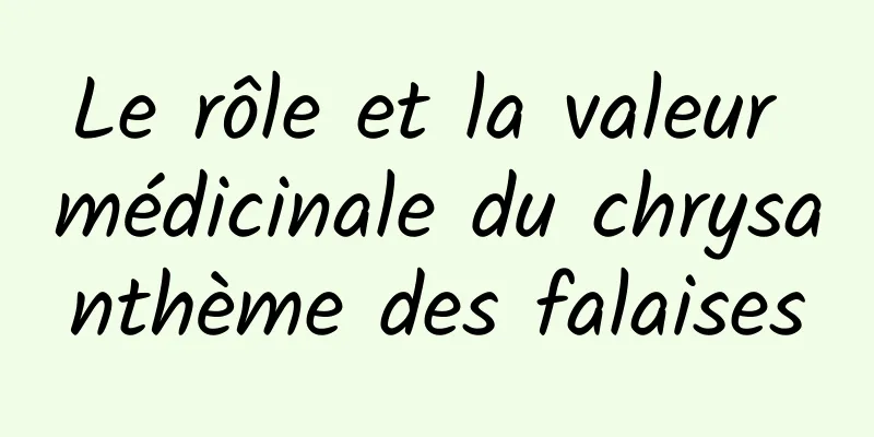 Le rôle et la valeur médicinale du chrysanthème des falaises