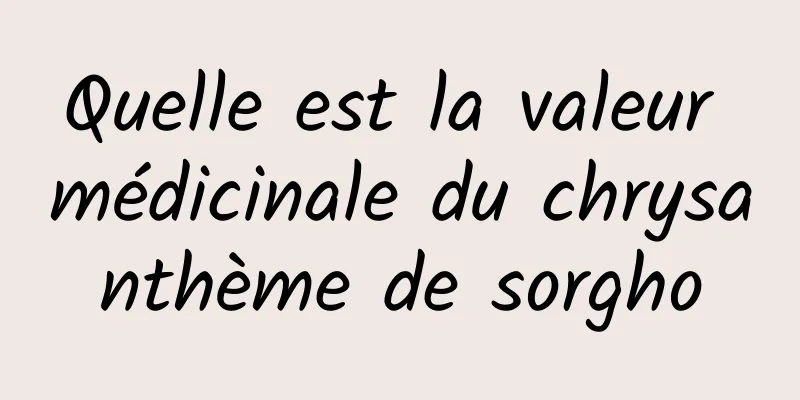 Quelle est la valeur médicinale du chrysanthème de sorgho