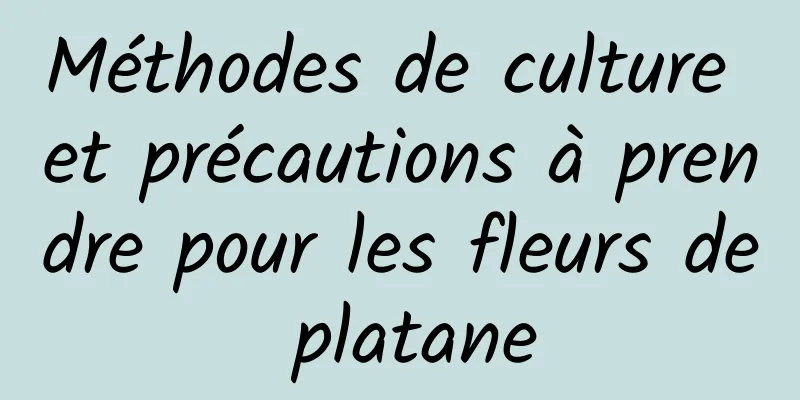 Méthodes de culture et précautions à prendre pour les fleurs de platane