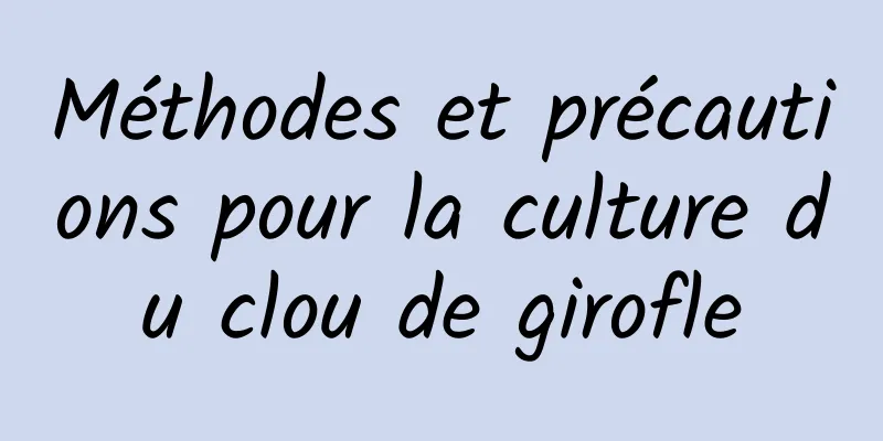 Méthodes et précautions pour la culture du clou de girofle