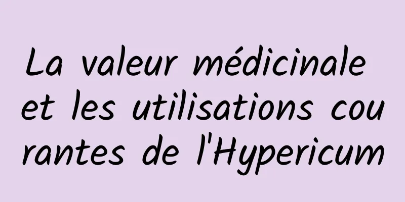 La valeur médicinale et les utilisations courantes de l'Hypericum