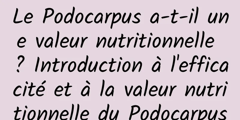 Le Podocarpus a-t-il une valeur nutritionnelle ? Introduction à l'efficacité et à la valeur nutritionnelle du Podocarpus