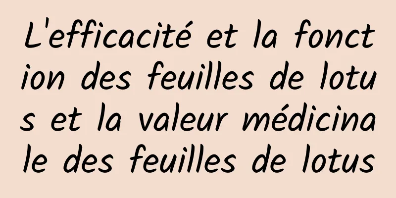 L'efficacité et la fonction des feuilles de lotus et la valeur médicinale des feuilles de lotus