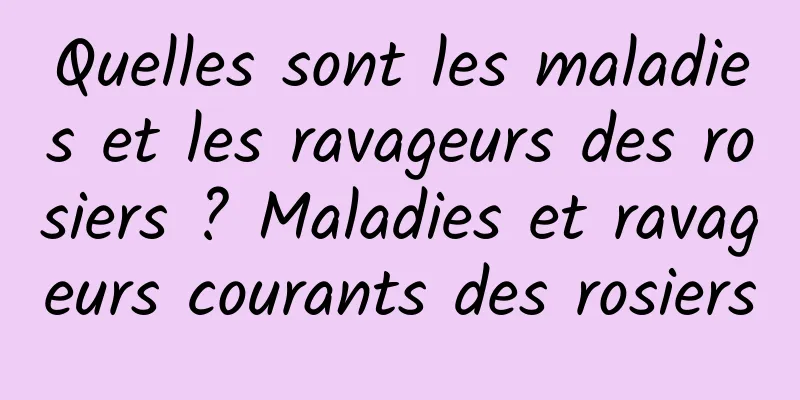 Quelles sont les maladies et les ravageurs des rosiers ? Maladies et ravageurs courants des rosiers