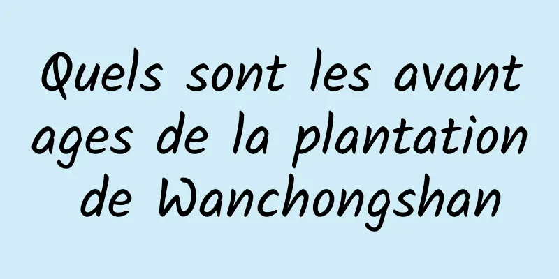 Quels sont les avantages de la plantation de Wanchongshan